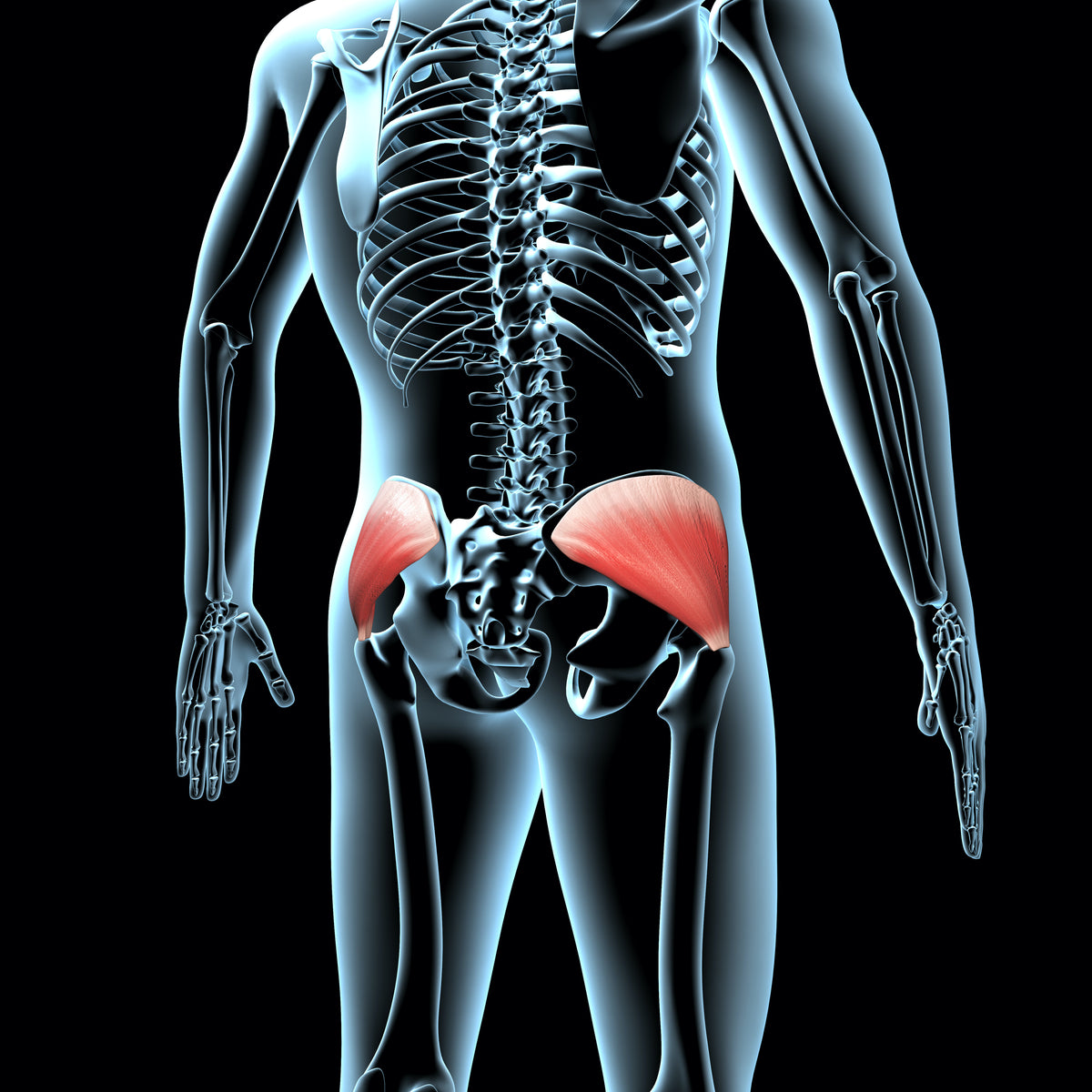 What Causes Lower Back Pain and Hip Pain on One Side?