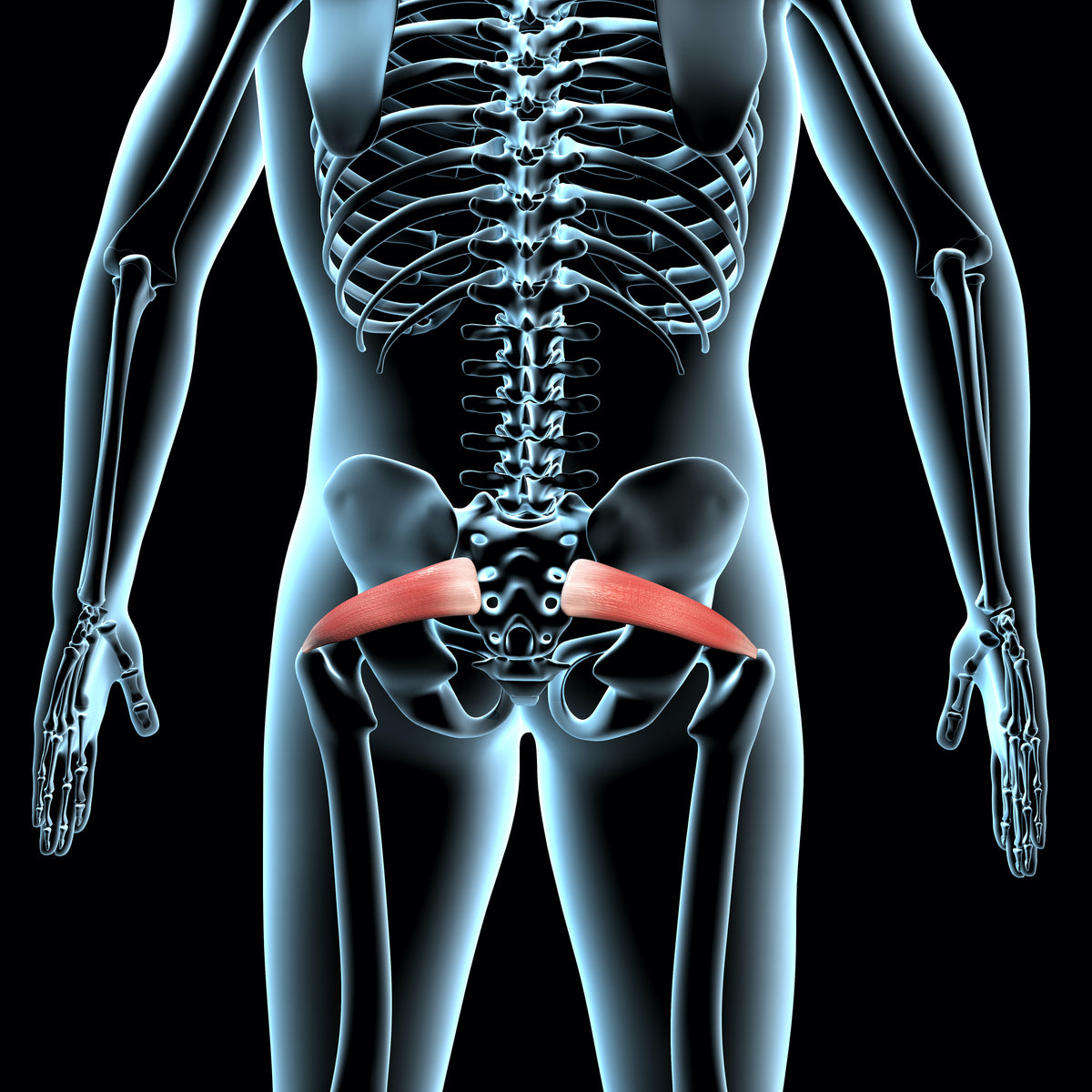 Piriformis Syndrome Test - Is Piriformis Your Pain Source?