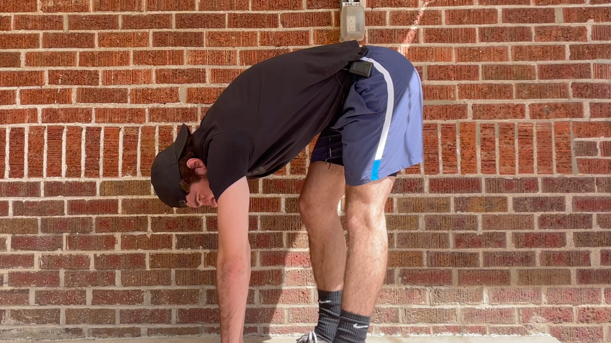 Elephant walk workout hotsell