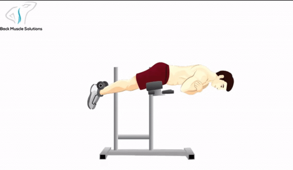 Lower back extension stretch hotsell