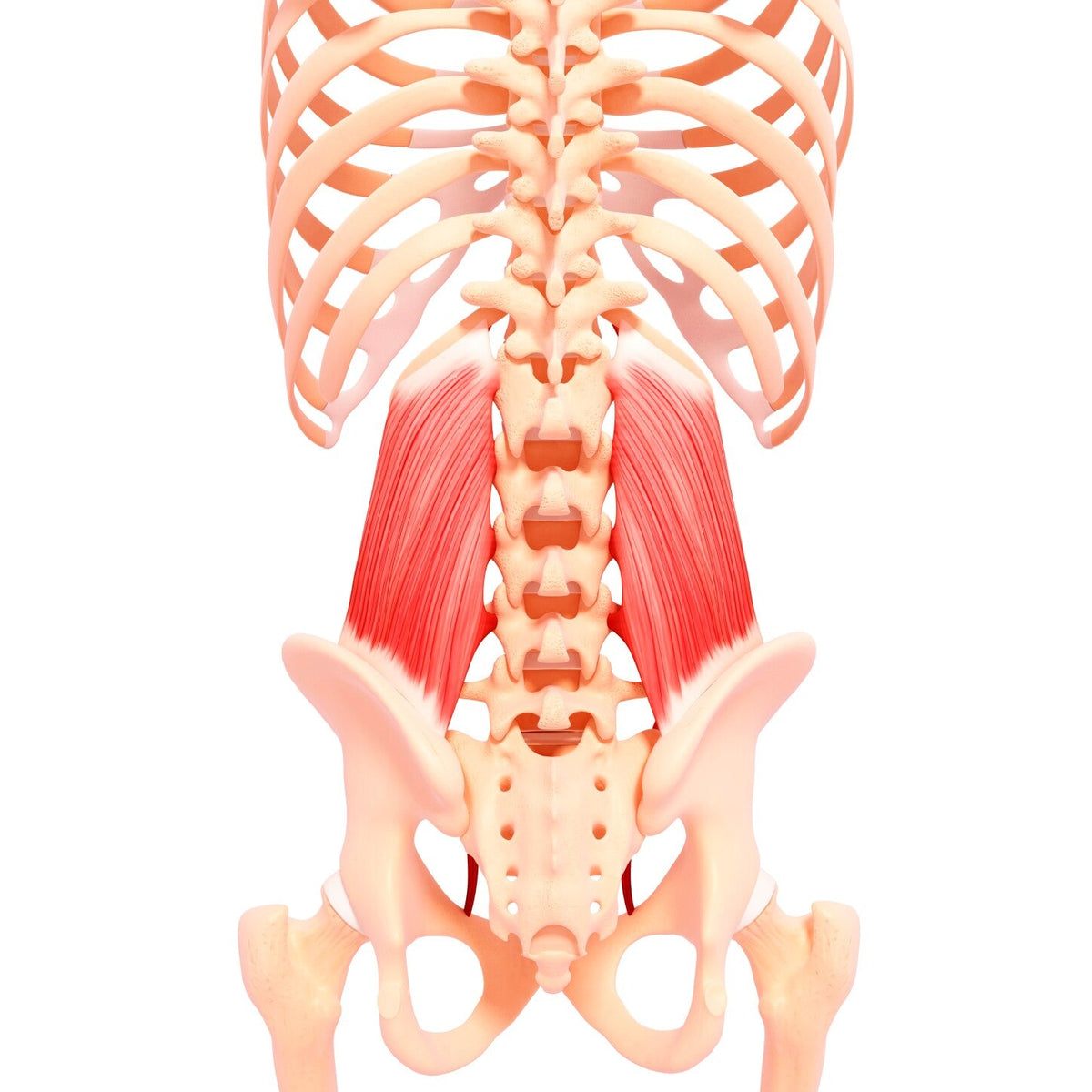 QL Trigger Points | What They Feel Like & How I Fixed Them